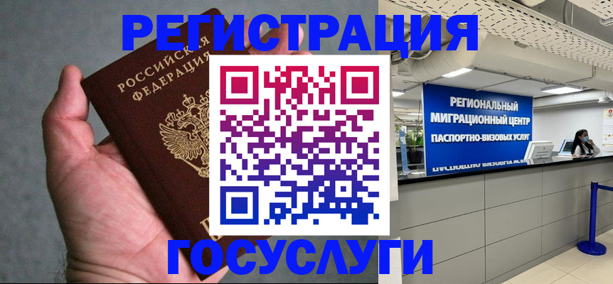 прописка поиск в Павловске